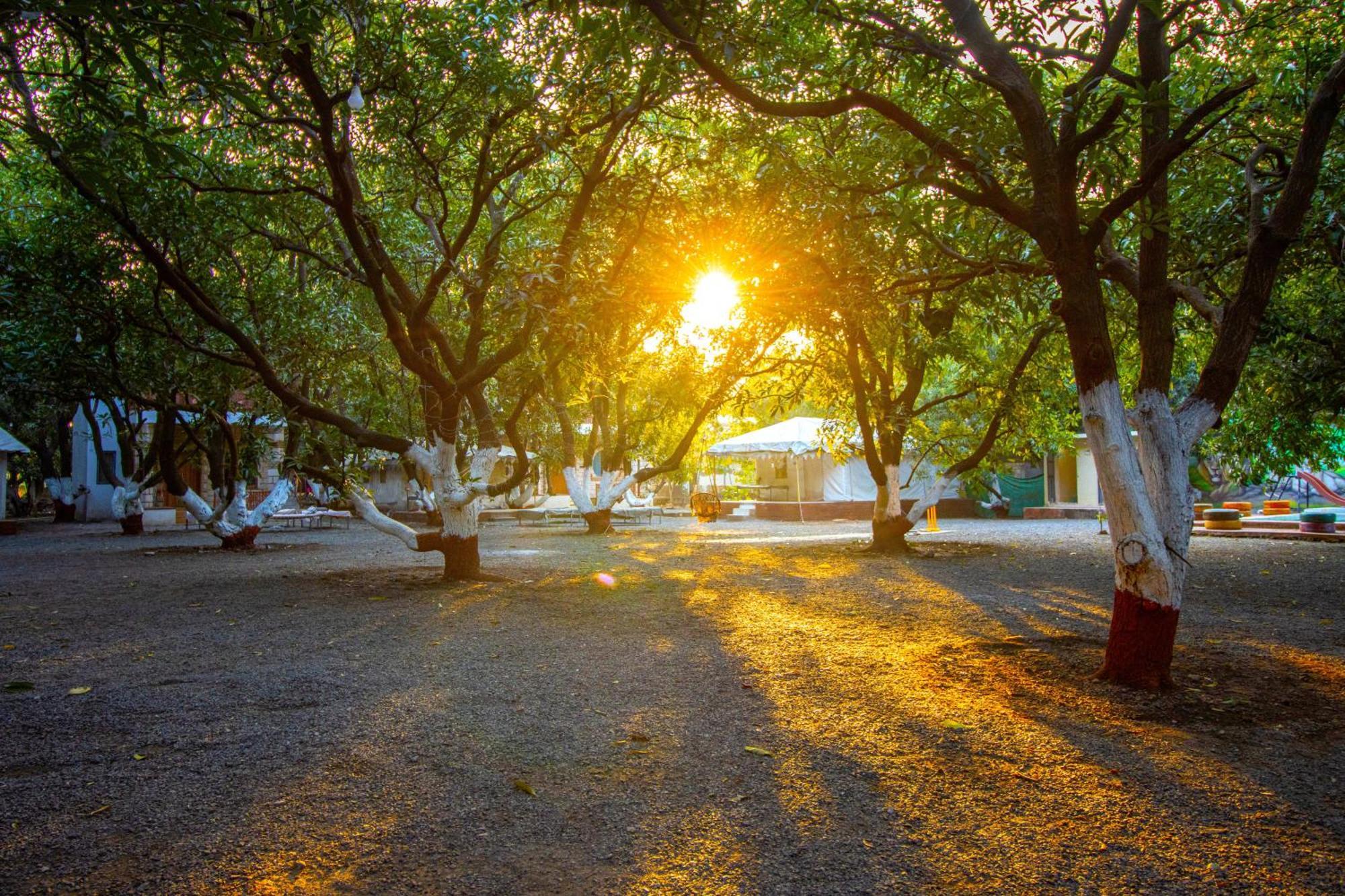 Brook Ville Гирский лес Экстерьер фото