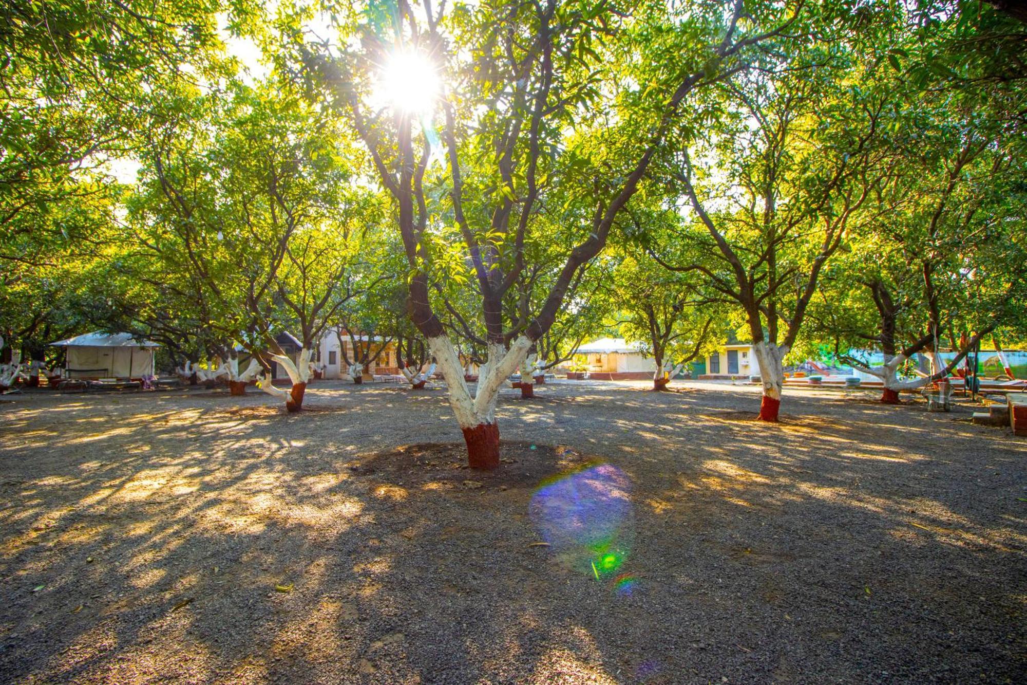 Brook Ville Гирский лес Экстерьер фото