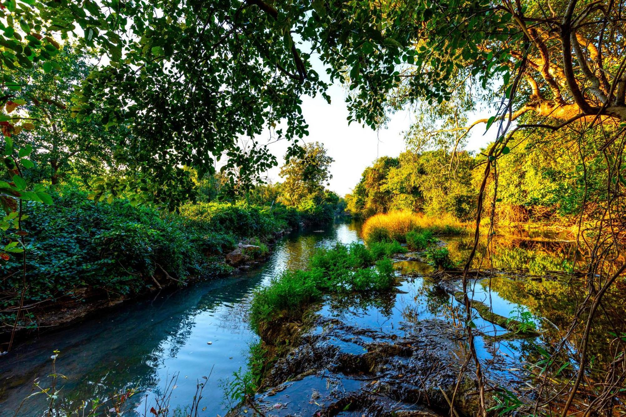 Brook Ville Гирский лес Экстерьер фото